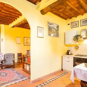 Wanda's Lucca